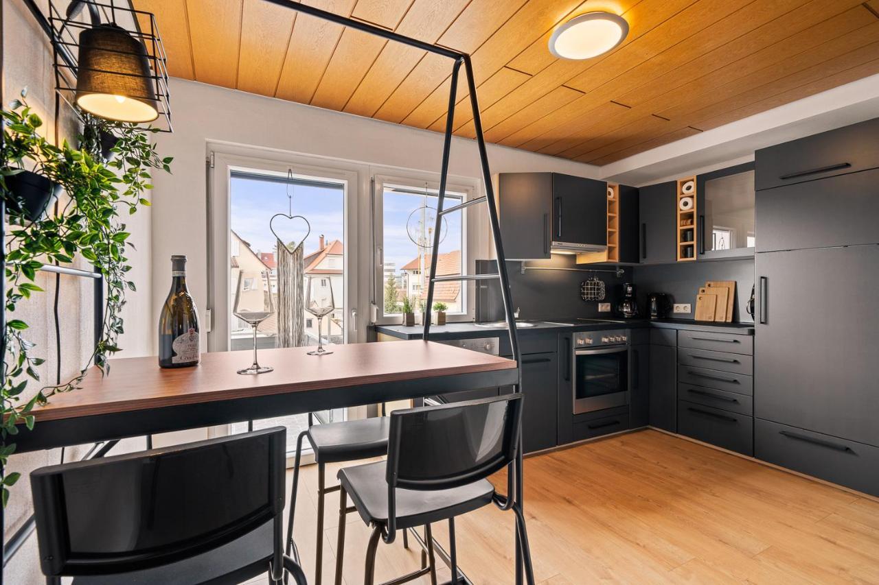 Apartment Fuer Bis Zu 6 Personen Mit Terrasse Und Klima フリードリヒスハーフェン エクステリア 写真